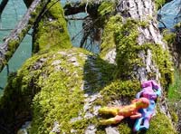 Plastellin-Figuren auf bemoostem Baum im Wasser